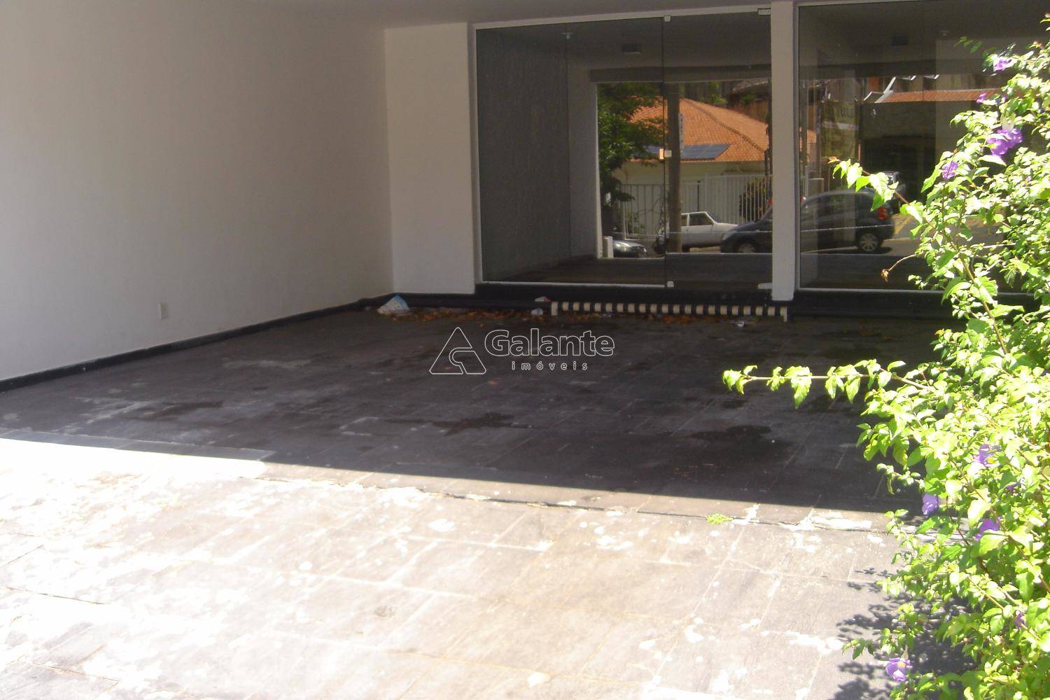 Comercial/Industrial em Nova Campinas, Campinas - Comercial/Industrial - Nova Campinas - Foto 4