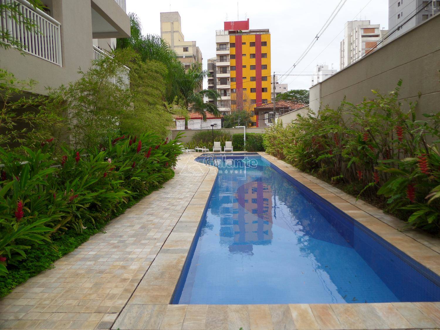 Apartamento em Centro, Campinas - Apartamento - Centro - Foto 16