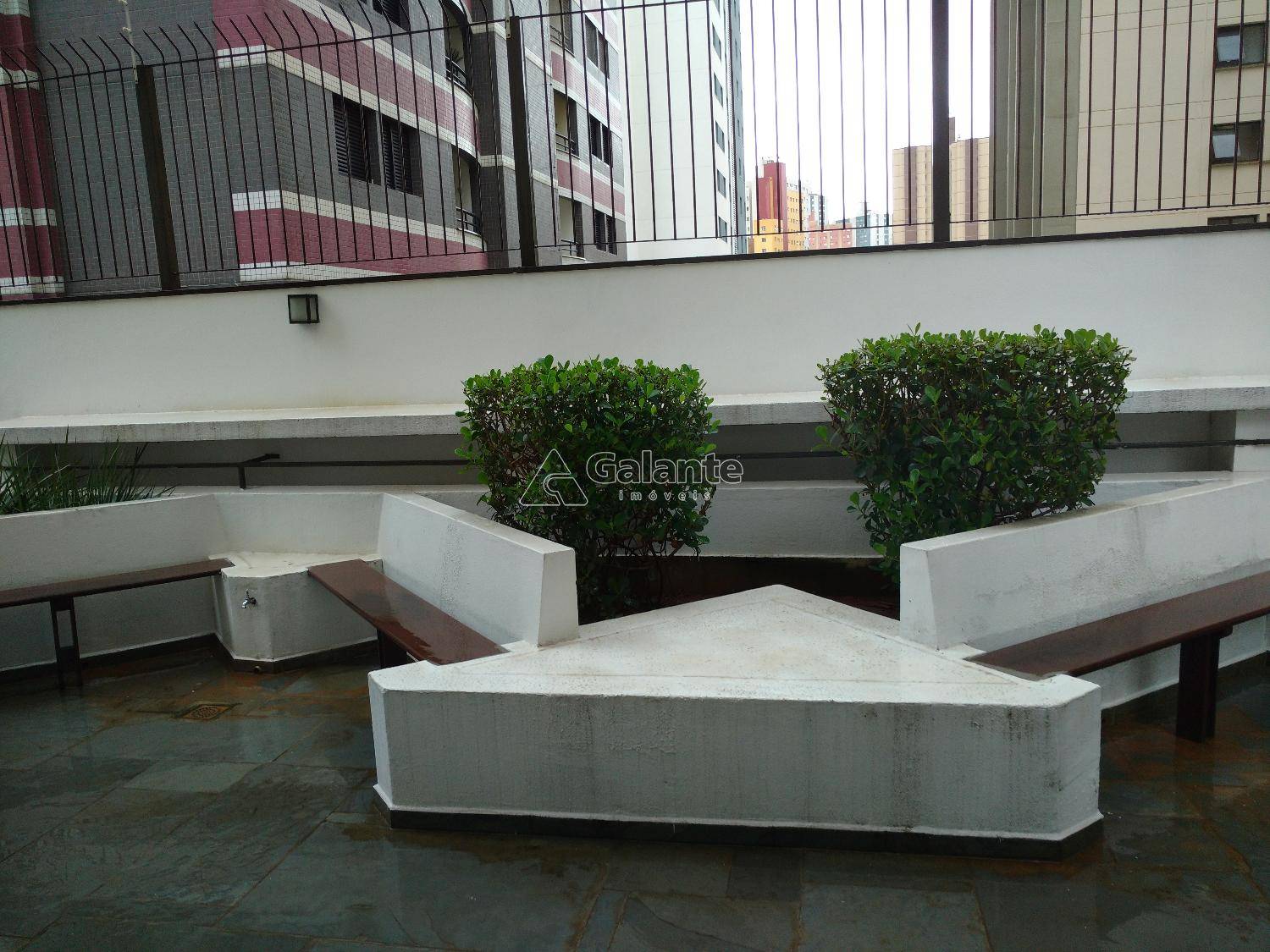 Apartamento em Centro, Campinas - Apartamento - Centro - Foto 4