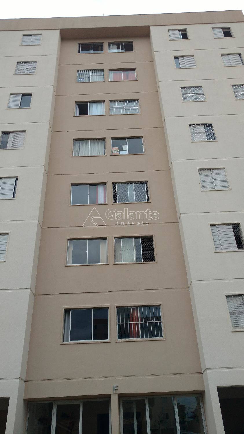 Apartamento em Swift, Campinas - Apartamento - Swift - Foto 6