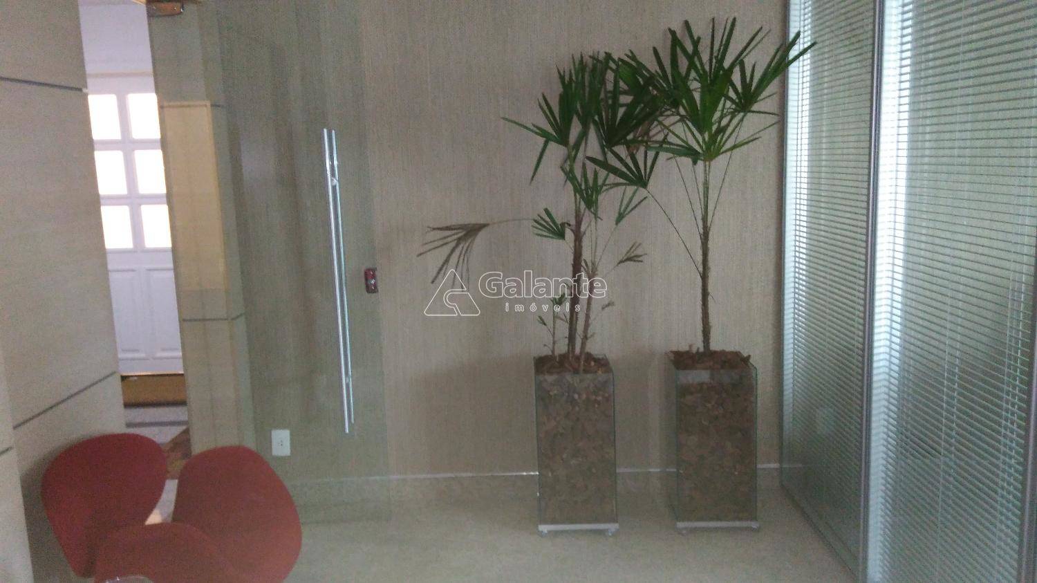 Comercial/Industrial em Cambuí, Campinas - Comercial/Industrial - Cambuí - Foto 19