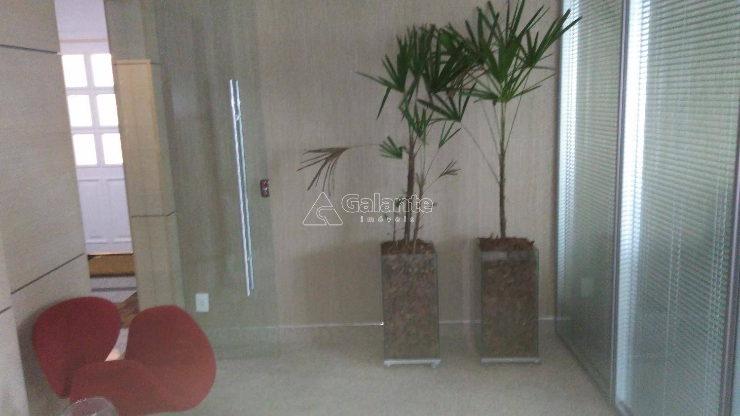 Comercial/Industrial em Cambuí, Campinas - Comercial/Industrial - Cambuí - Foto 8