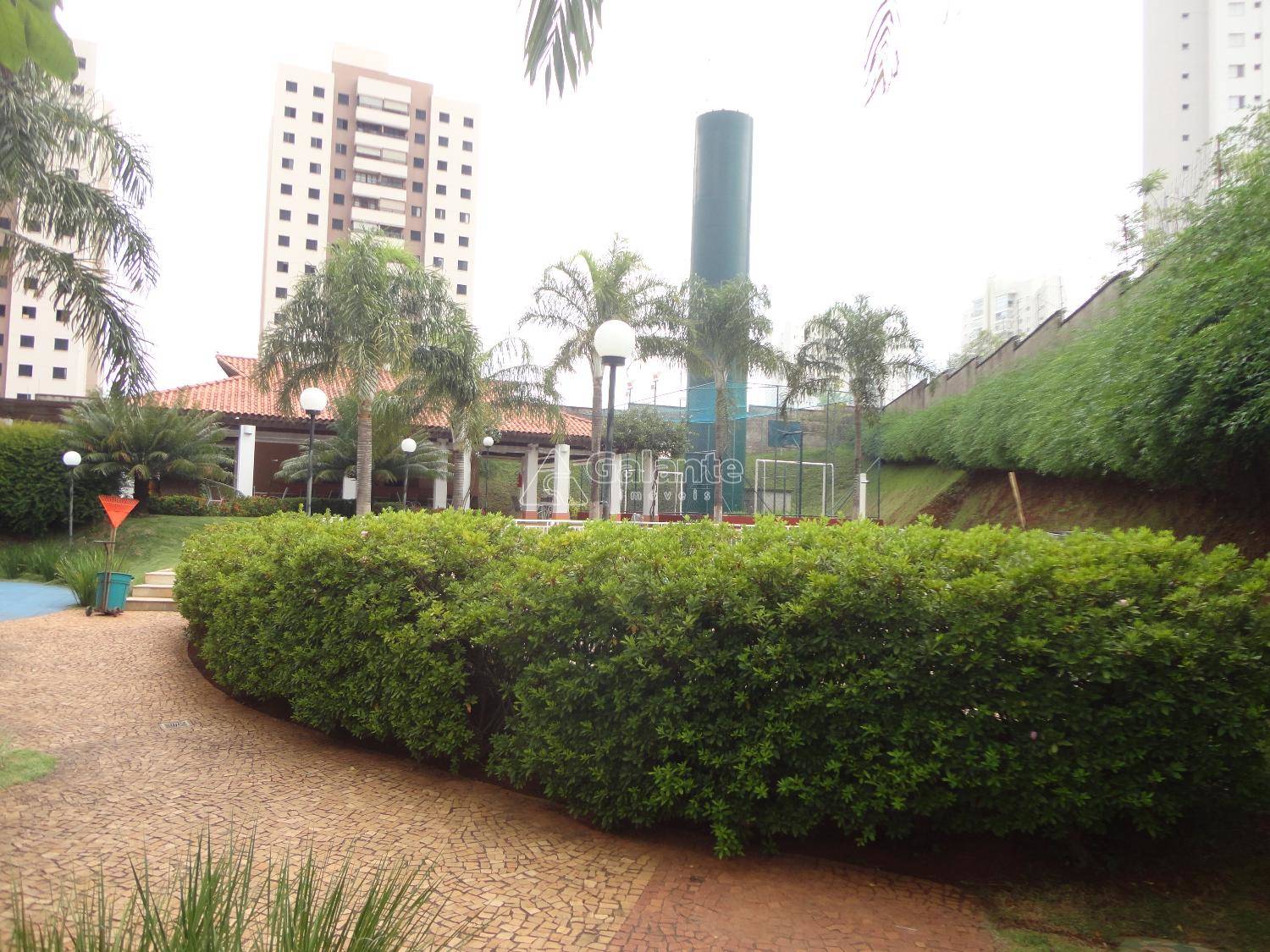 Casa em Jardim Nova Europa, Campinas - Casa - Jardim Nova Europa - Foto 11