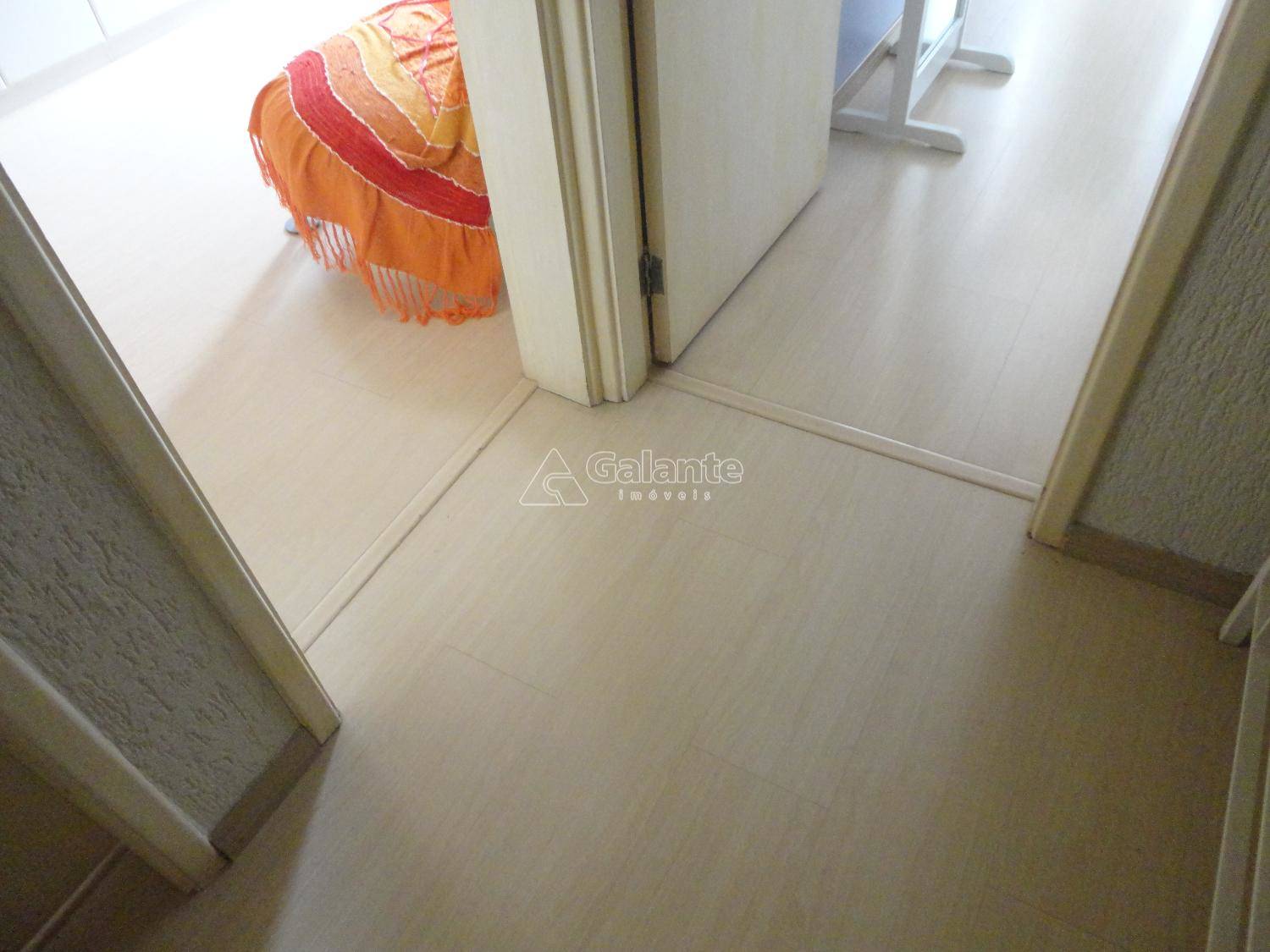 Casa em Jardim Nova Europa, Campinas - Casa - Jardim Nova Europa - Foto 27