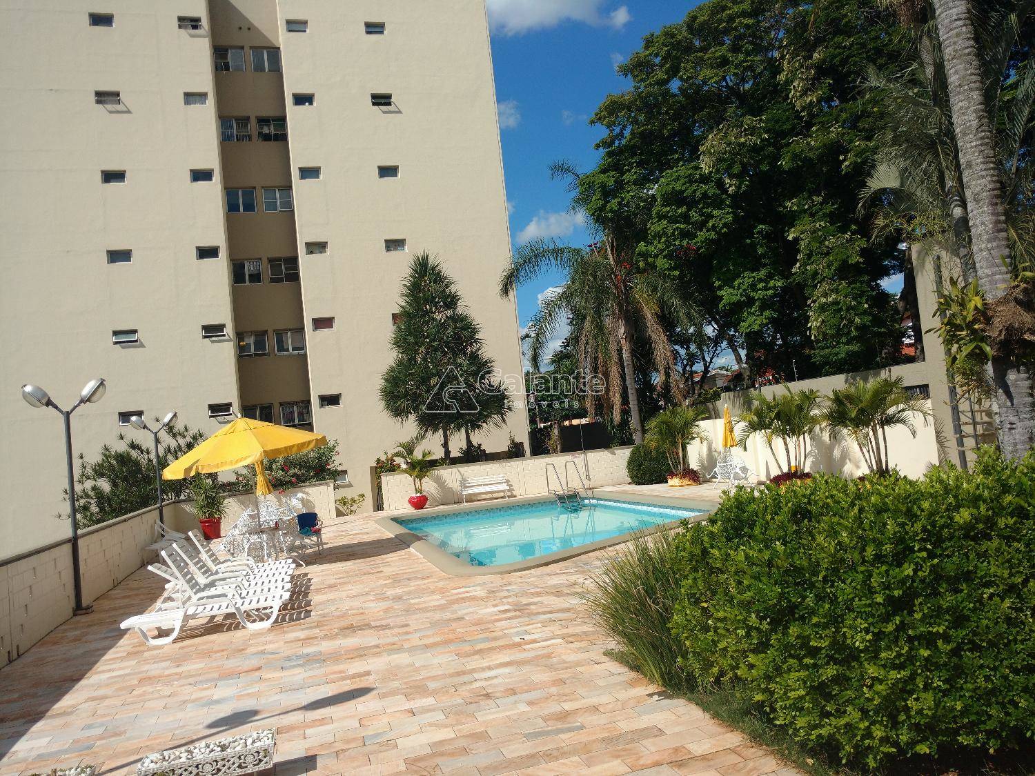 Apartamento em Chácara da Barra, Campinas - Apartamento - Chácara da Barra - Foto 11