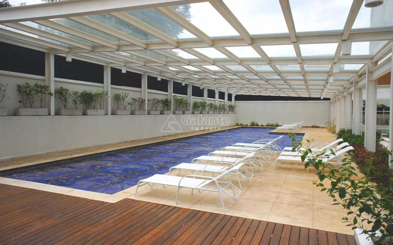 Apartamento em Botafogo, Campinas - Apartamento - Botafogo - Foto 2