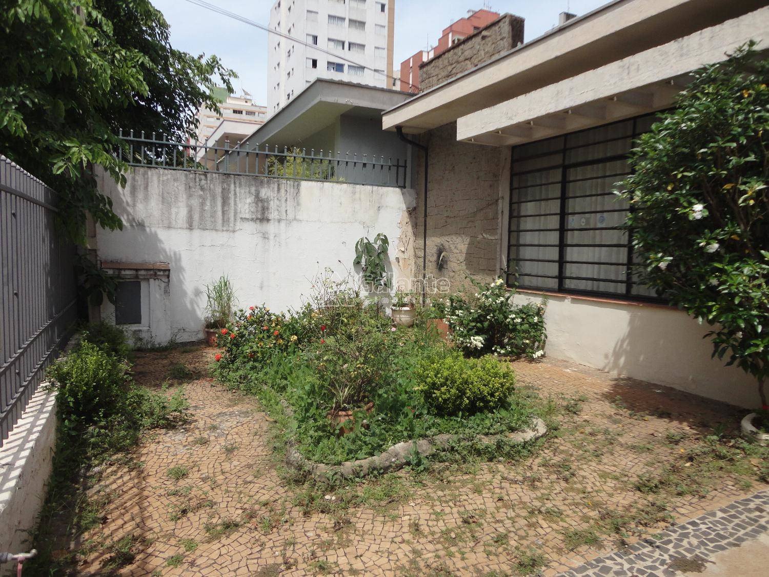 Comercial/Industrial em Cambuí, Campinas - Comercial/Industrial - Cambuí - Foto 5