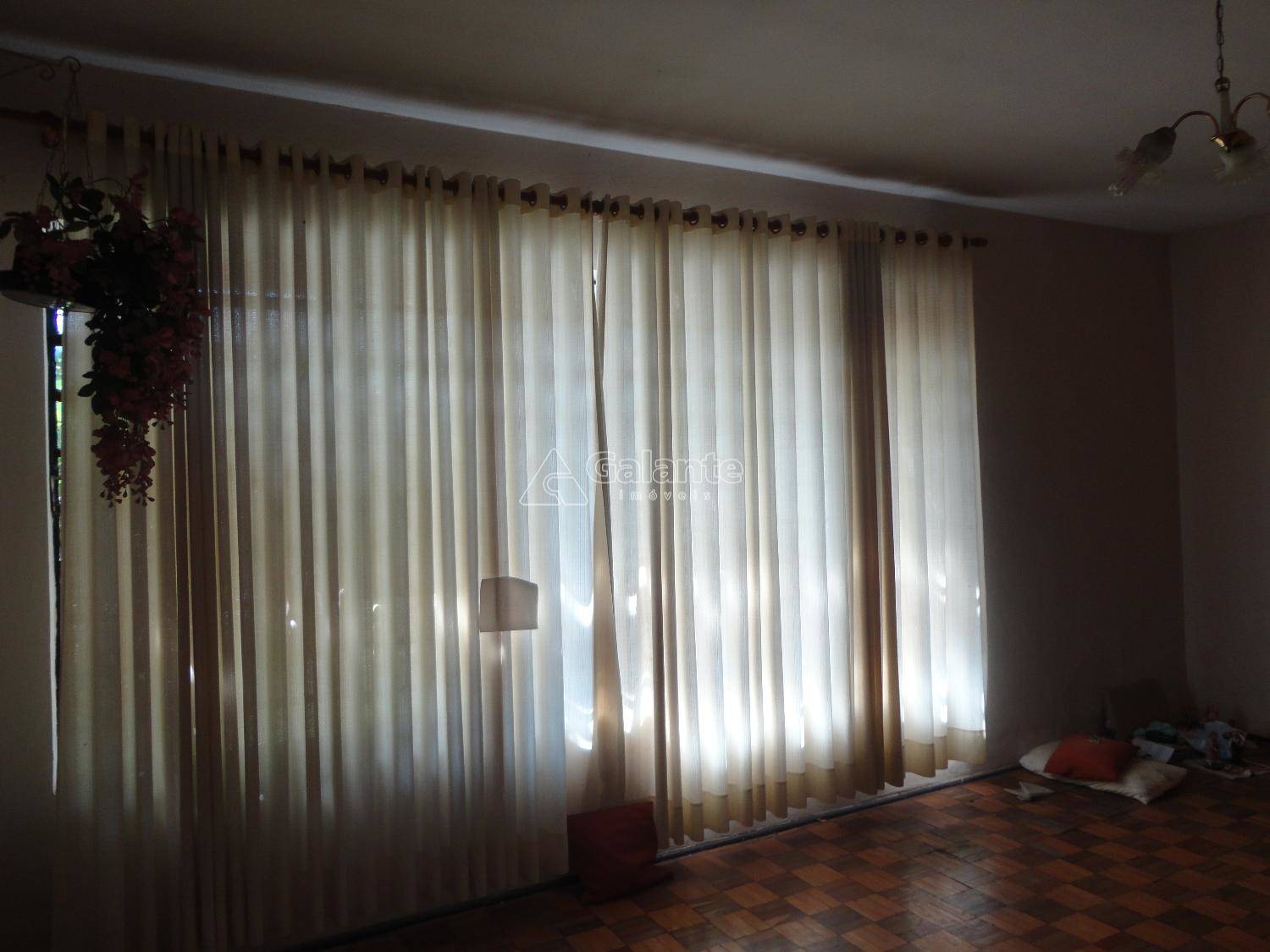 Comercial/Industrial em Cambuí, Campinas - Comercial/Industrial - Cambuí - Foto 8