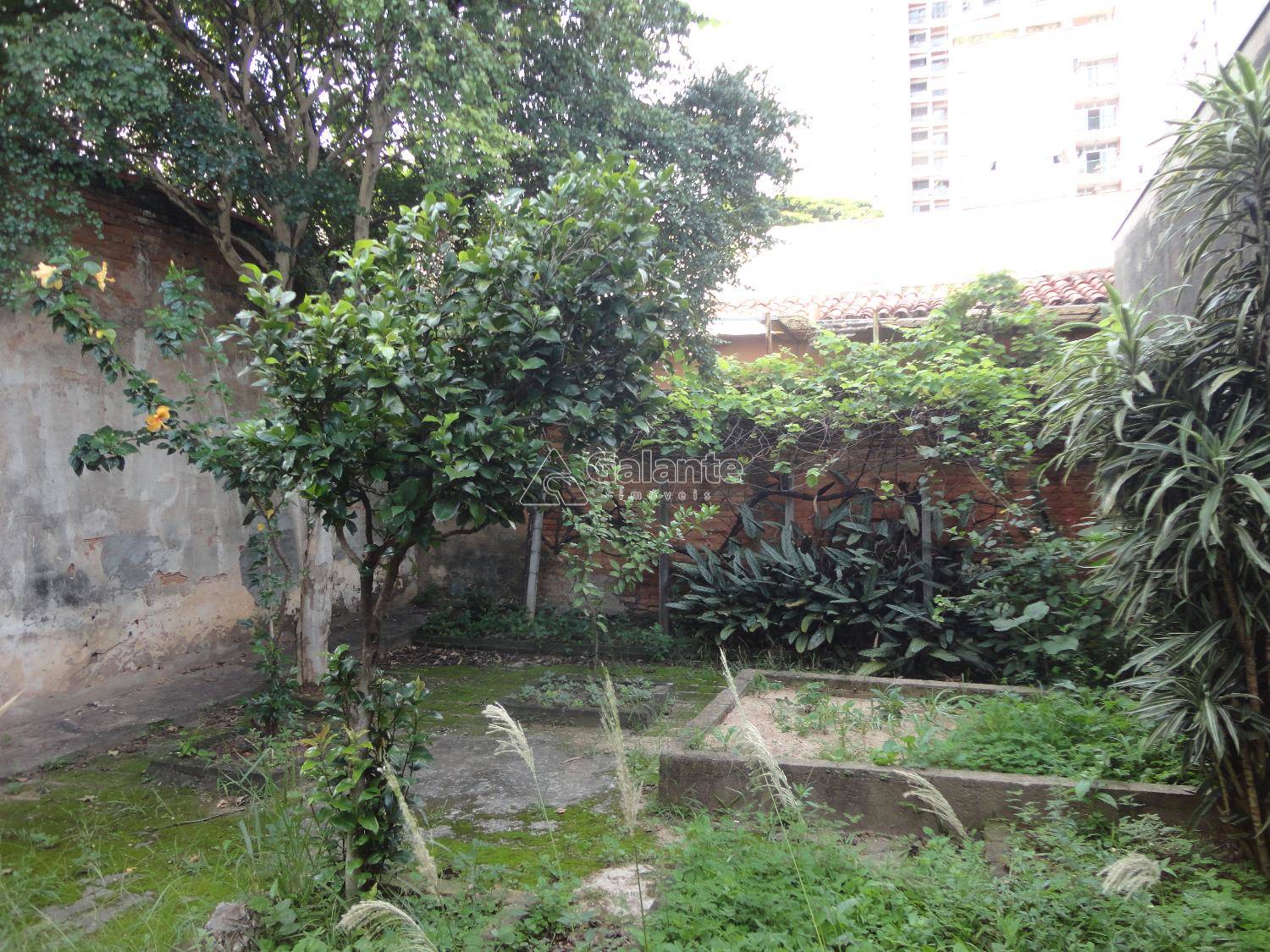 Comercial/Industrial em Cambuí, Campinas - Comercial/Industrial - Cambuí - Foto 18