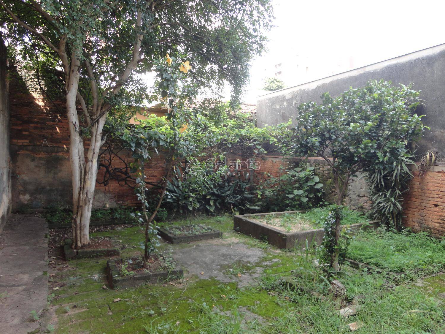 Comercial/Industrial em Cambuí, Campinas - Comercial/Industrial - Cambuí - Foto 44