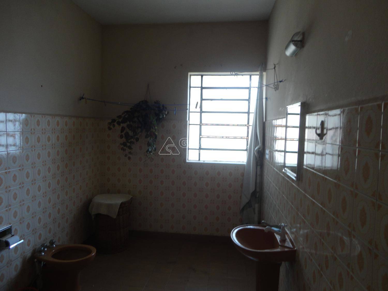 Comercial/Industrial em Cambuí, Campinas - Comercial/Industrial - Cambuí - Foto 20
