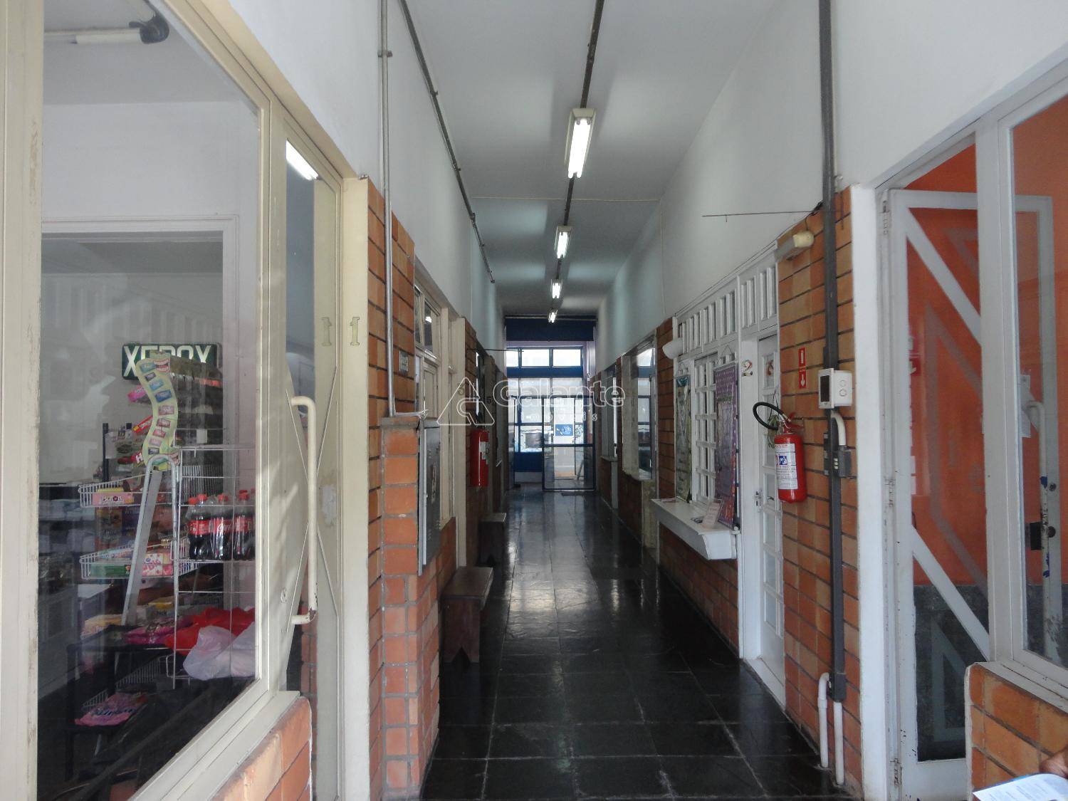 Comercial/Industrial em Cambuí, Campinas - Foto 5