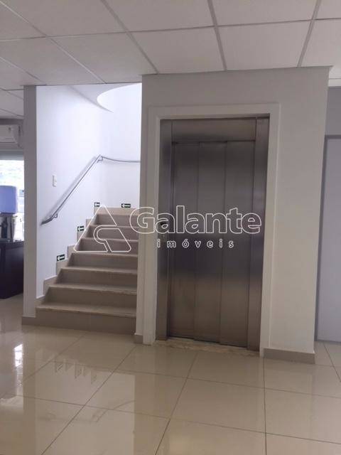 Comercial/Industrial em Jardim das Paineiras, Campinas - Comercial/Industrial - Jardim das Paineiras - Foto 9