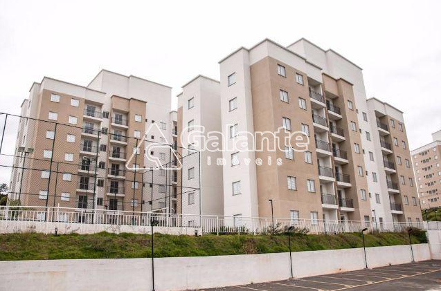 Apartamento em Jardim Myrian Moreira da Costa, Campinas - Foto 11