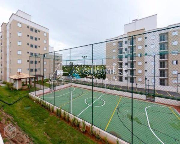 Apartamento em Jardim Myrian Moreira da Costa, Campinas - Foto 4