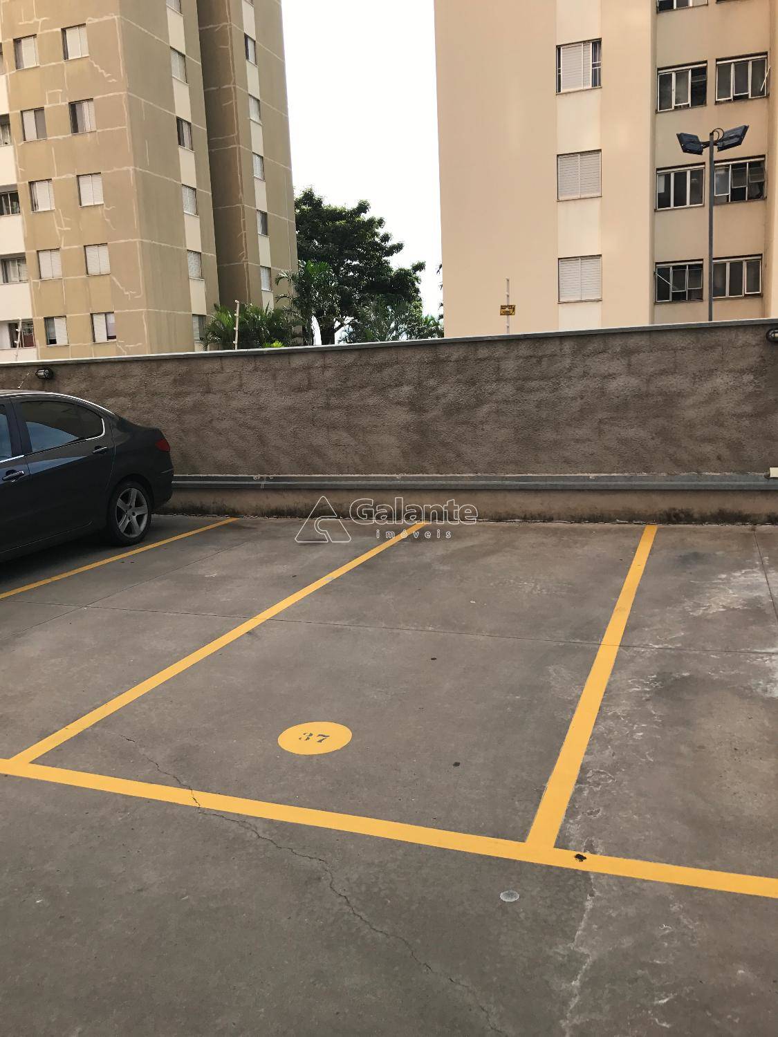 Apartamento em Parque Itália, Campinas - Apartamento - Parque Itália - Foto 19