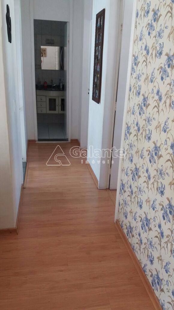 Apartamento em Jardim Paulicéia, Campinas - Foto 15
