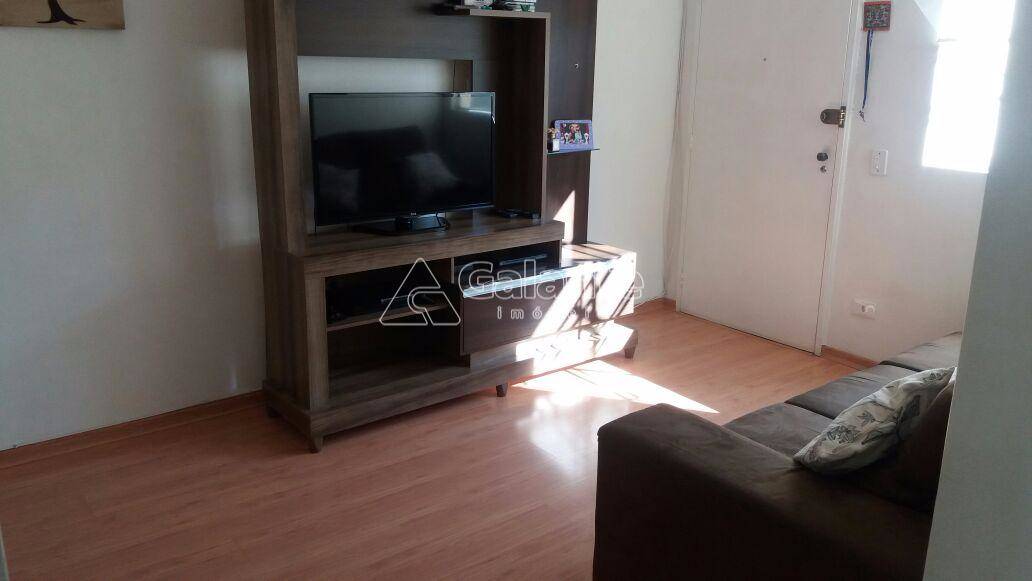 Apartamento em Jardim Paulicéia, Campinas - Apartamento - Jardim Paulicéia - Foto 3