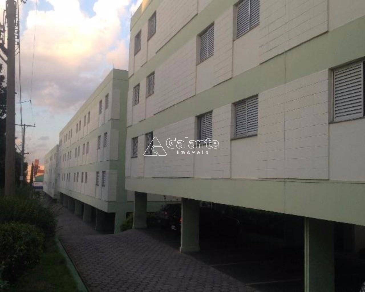 Apartamento em Jardim Paulicéia, Campinas - Apartamento - Jardim Paulicéia - Foto 1