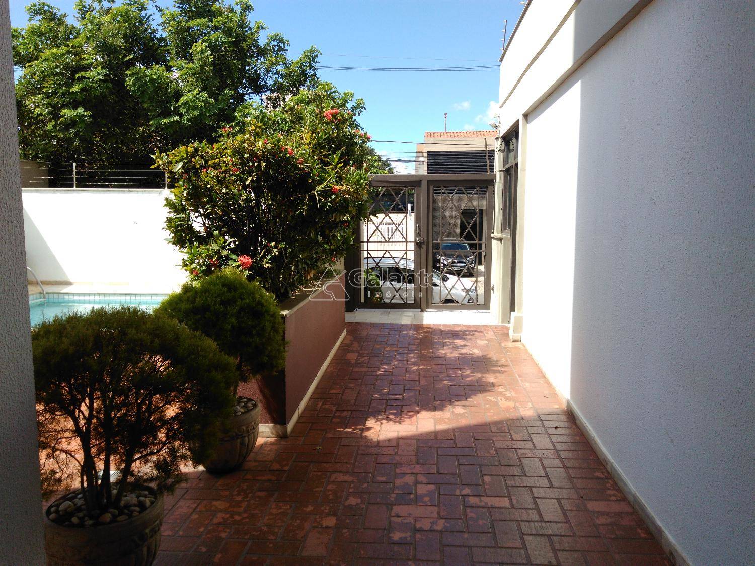Apartamento em Cambuí, Campinas - Apartamento - Cambuí - Foto 9