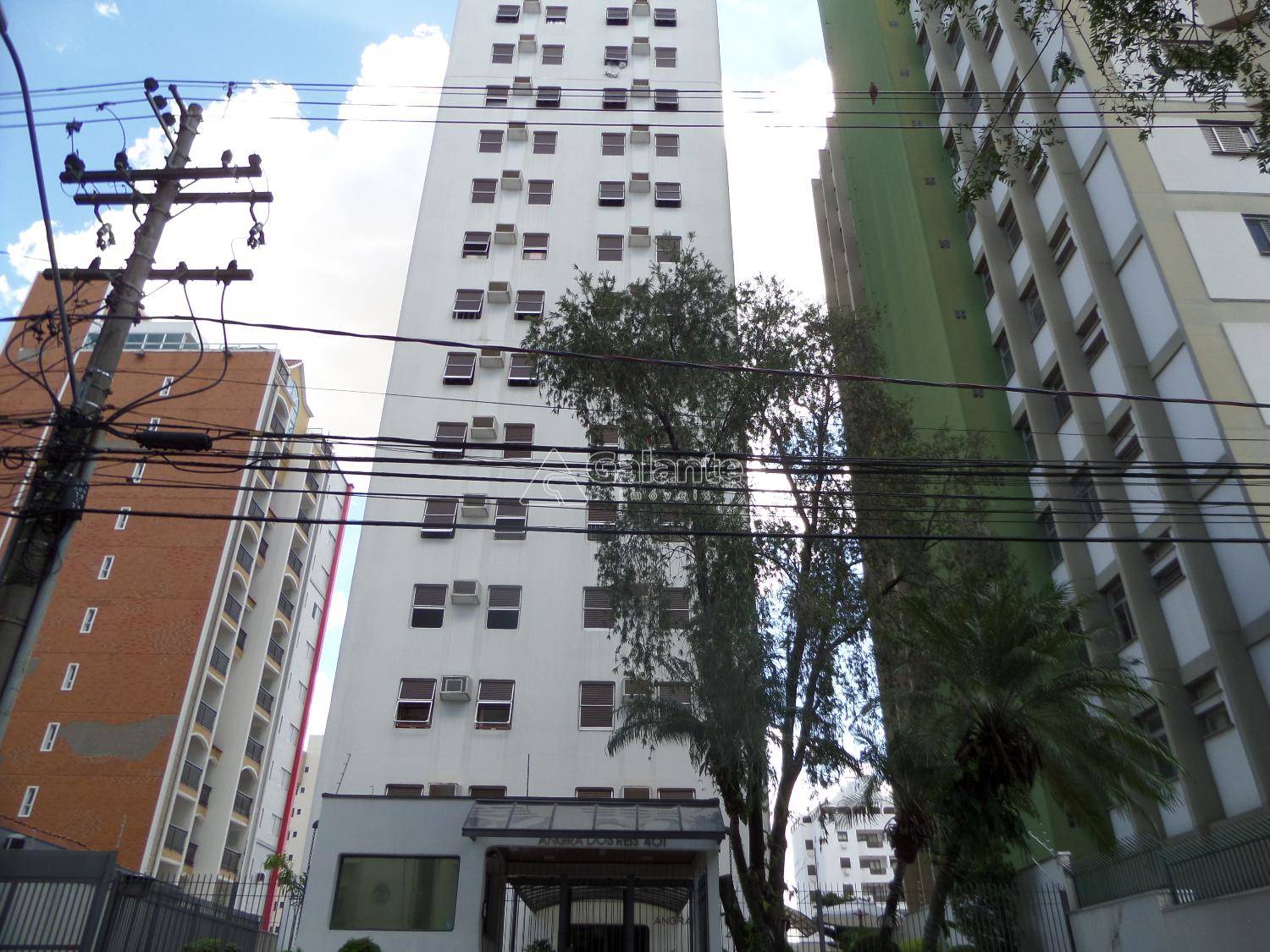 Apartamento em Cambuí, Campinas - Apartamento - Cambuí - Foto 1
