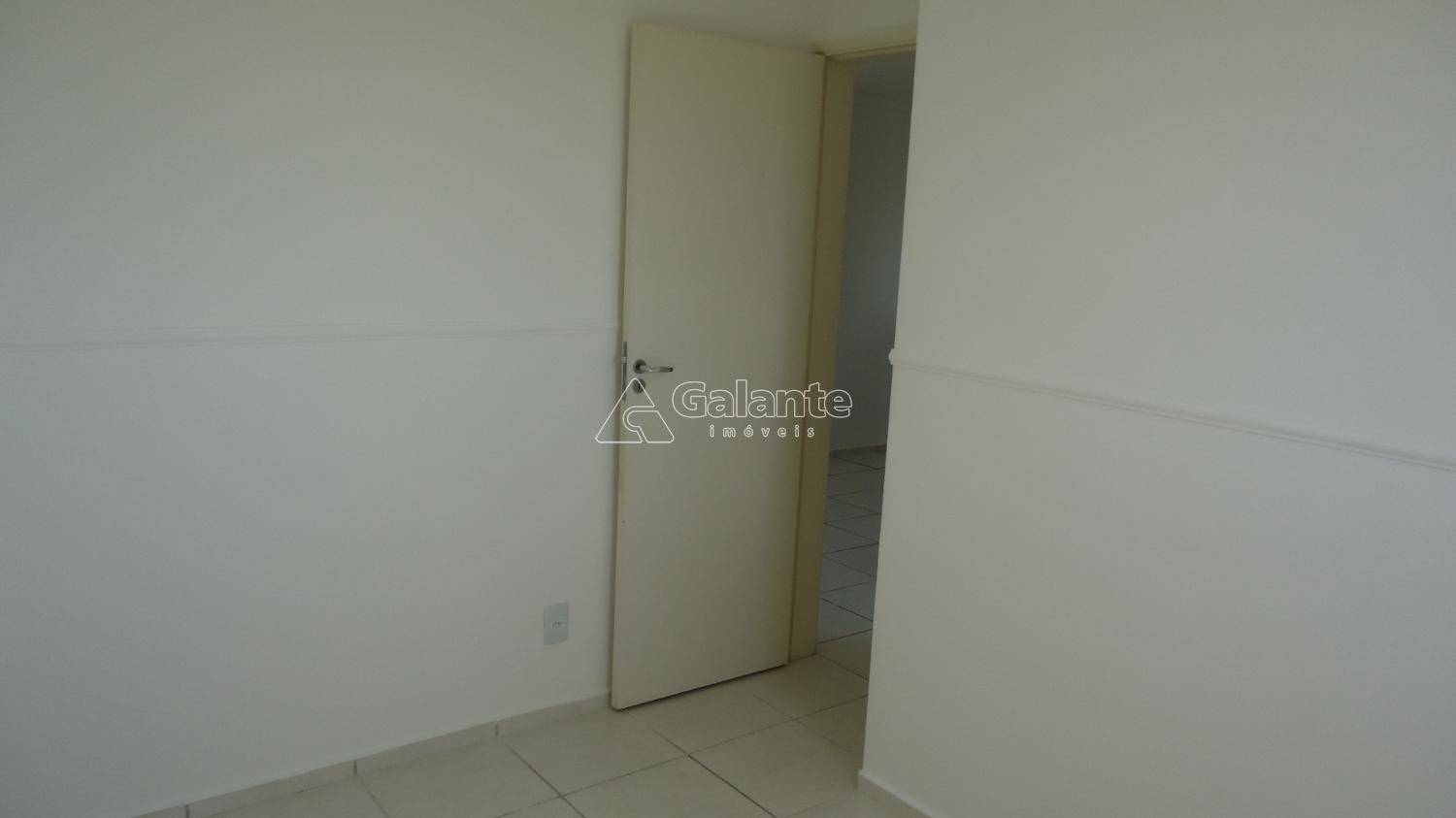 Apartamento em Jardim Nova Europa, Campinas - Apartamento - Jardim Nova Europa - Foto 10