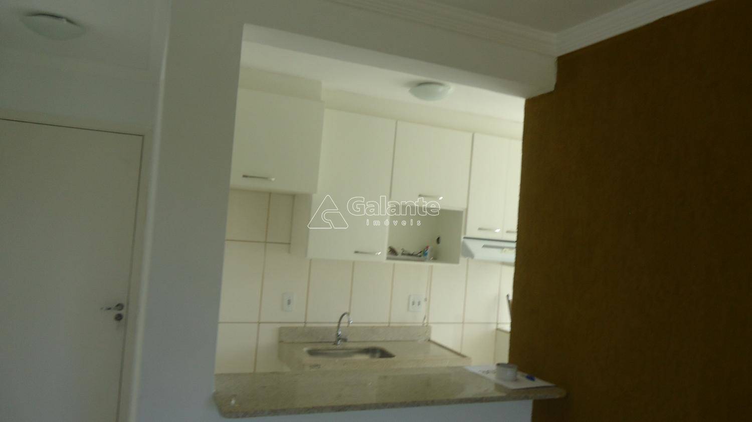Apartamento em Jardim Nova Europa, Campinas - Apartamento - Jardim Nova Europa - Foto 15