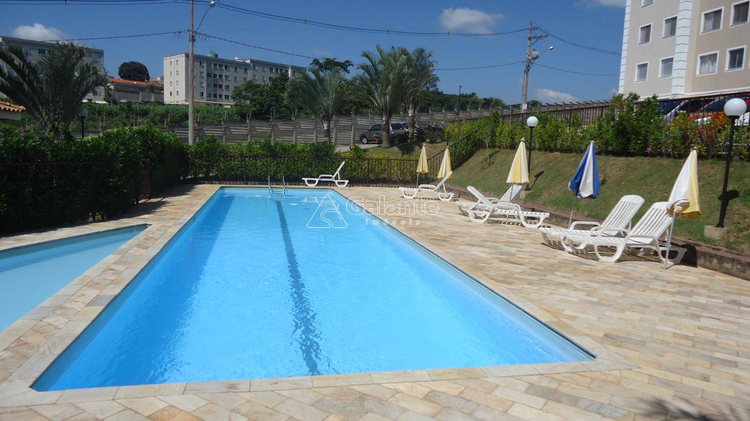 Apartamento em Jardim Nova Europa, Campinas - Apartamento - Jardim Nova Europa - Foto 4