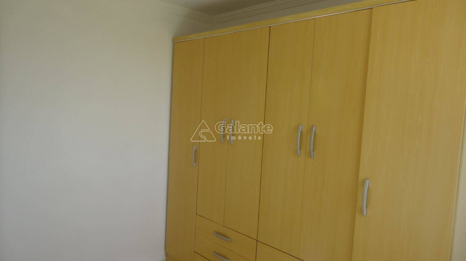 Apartamento em Jardim Nova Europa, Campinas - Apartamento - Jardim Nova Europa - Foto 6