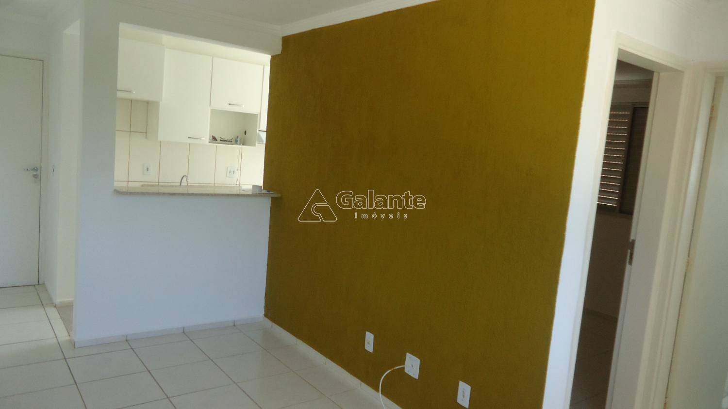 Apartamento em Jardim Nova Europa, Campinas - Apartamento - Jardim Nova Europa - Foto 12
