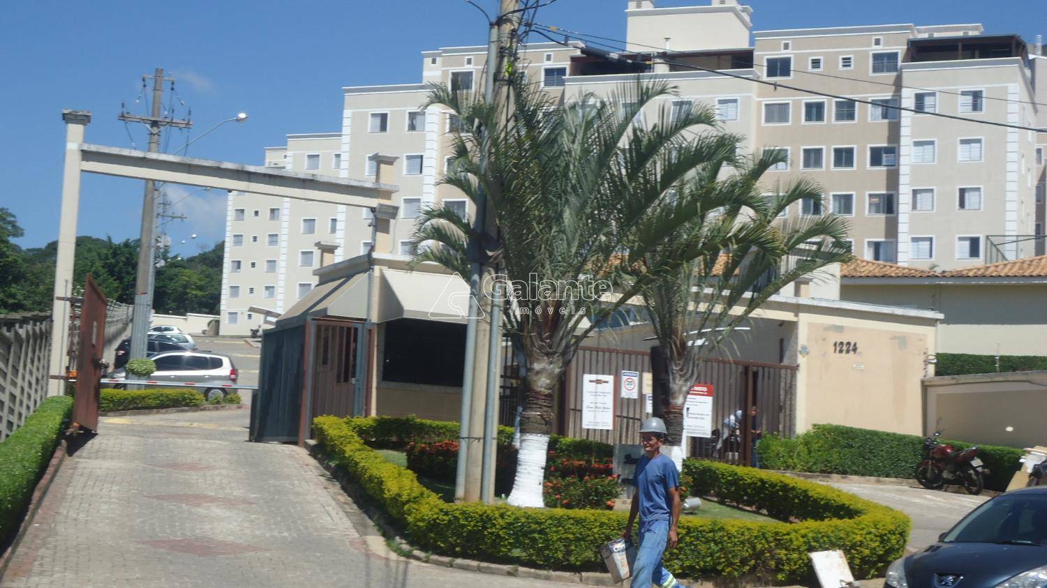 Apartamento em Jardim Nova Europa, Campinas - Apartamento - Jardim Nova Europa - Foto 1