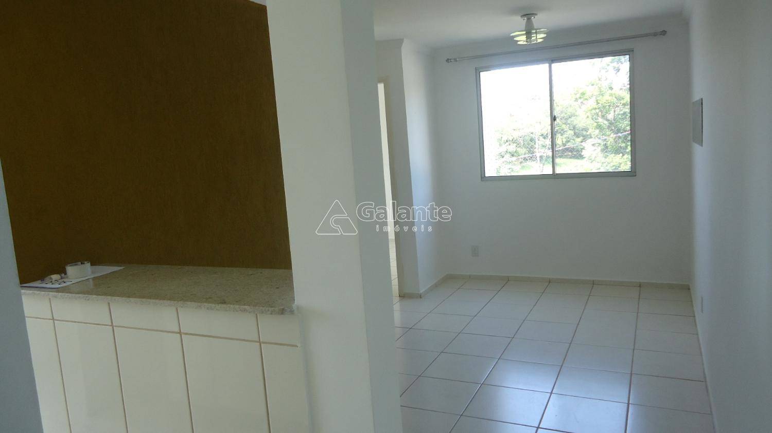 Apartamento em Jardim Nova Europa, Campinas - Apartamento - Jardim Nova Europa - Foto 13