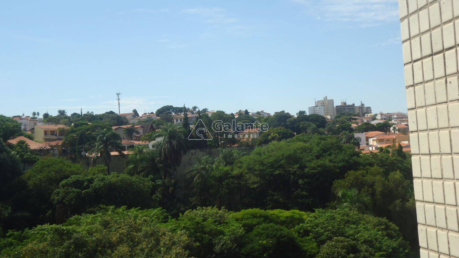 Apartamento em Jardim Paraíso, Campinas - Apartamento - Jardim Paraíso - Foto 5