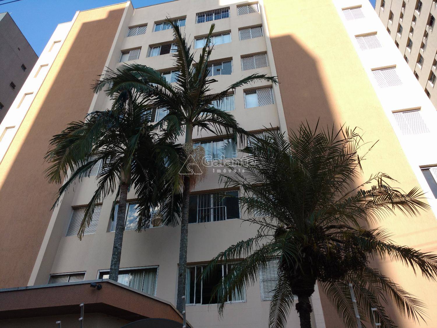 Apartamento em Cambuí, Campinas - Apartamento - Cambuí - Foto 1