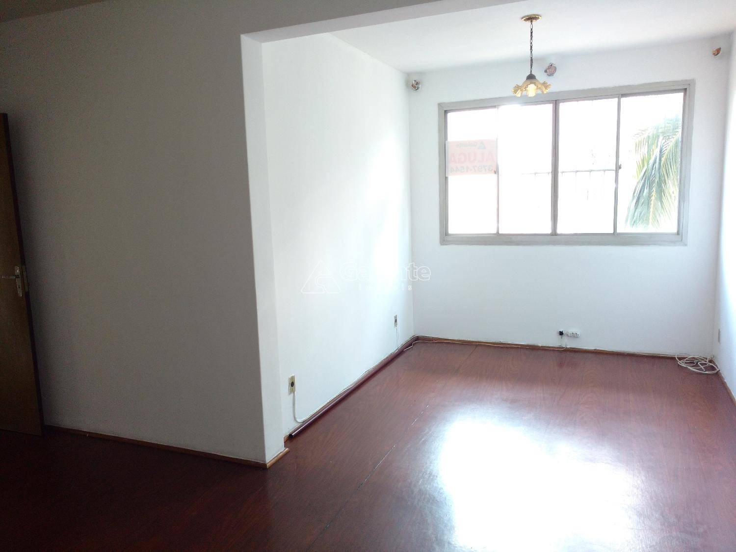Apartamento em Cambuí, Campinas - Apartamento - Cambuí - Foto 4