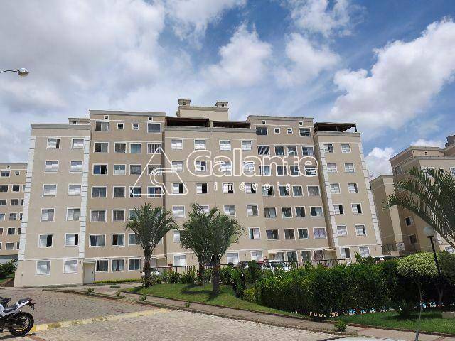 Apartamento em Jardim Nova Europa, Campinas - Apartamento - Jardim Nova Europa - Foto 1