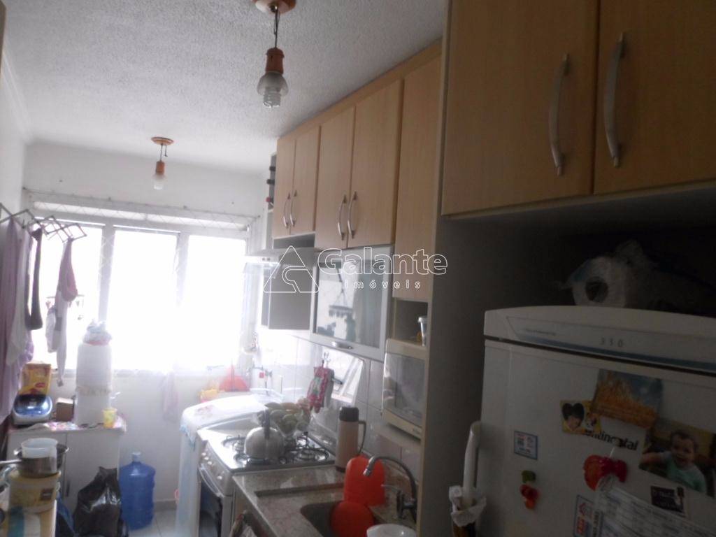 Apartamento em Jardim Dom Vieira, Campinas - Apartamento - Jardim Dom Vieira - Foto 3