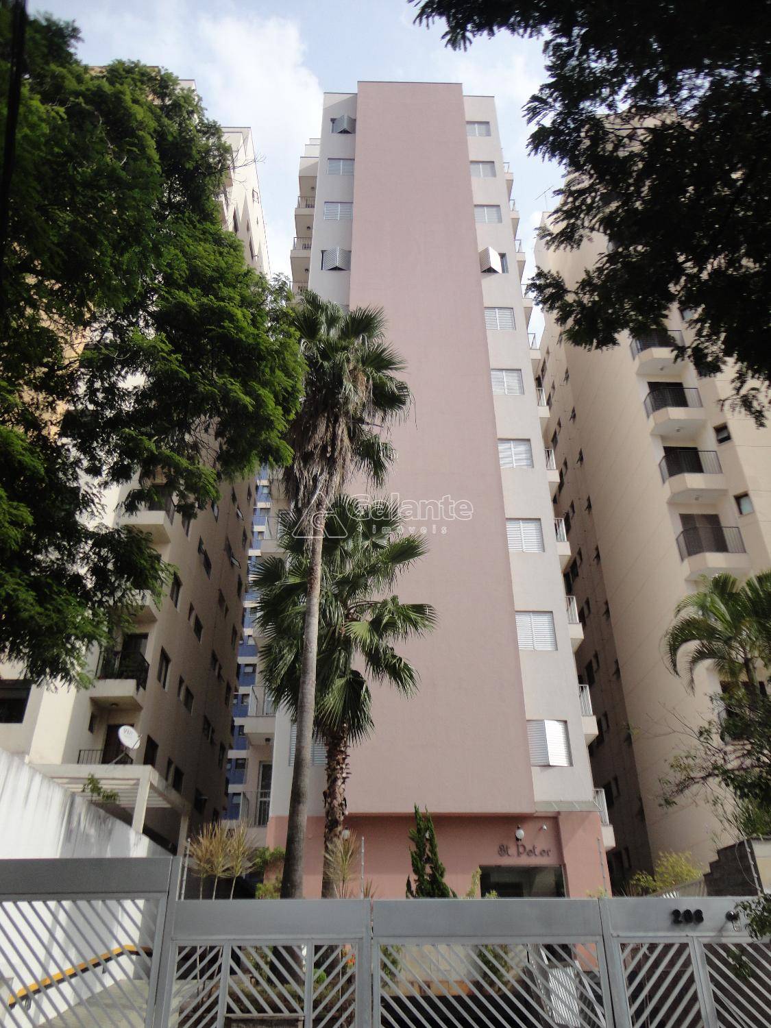 Apartamento em Cambuí, Campinas - Apartamento - Cambuí - Foto 1