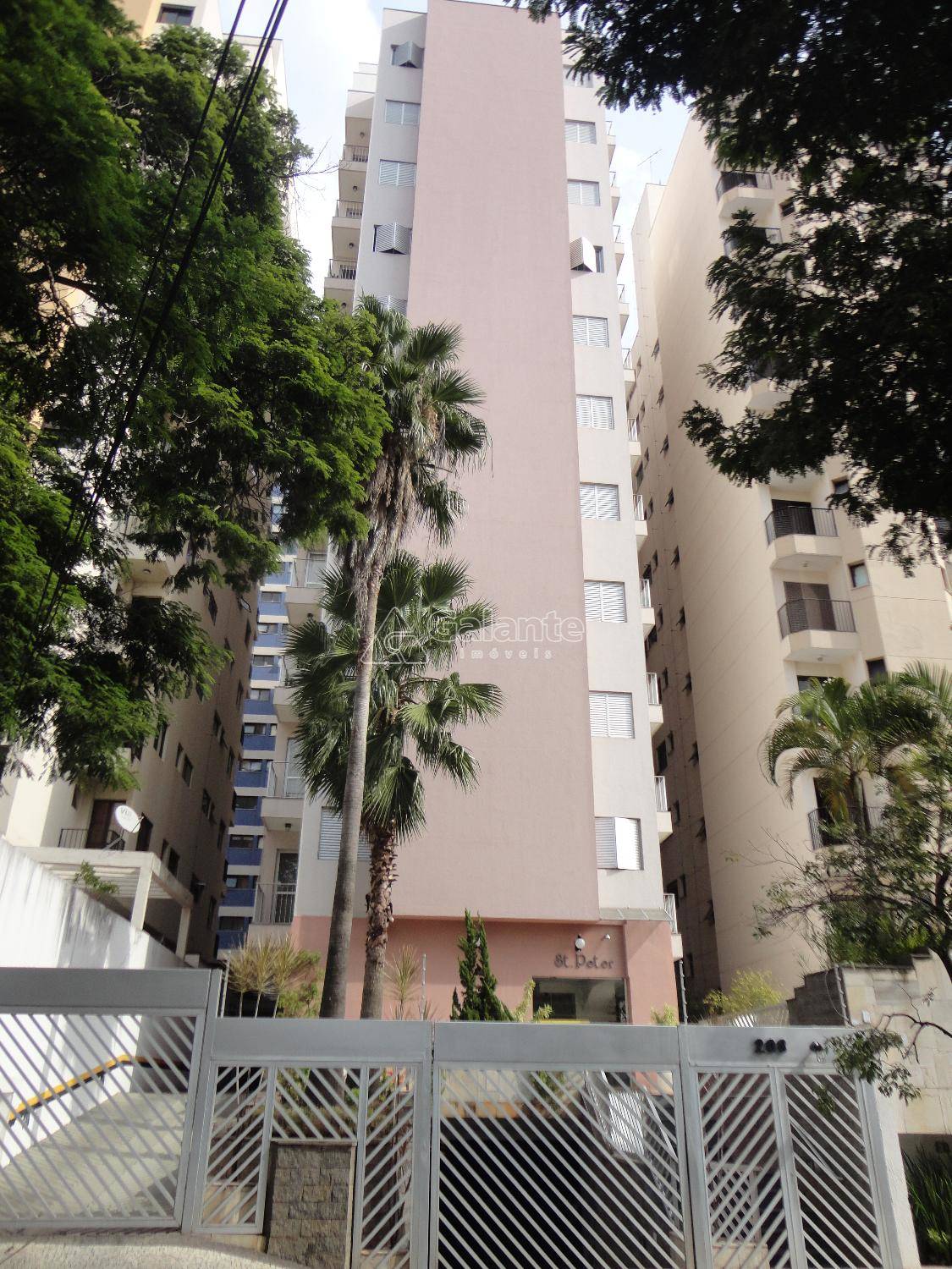 Apartamento em Cambuí, Campinas - Foto 14