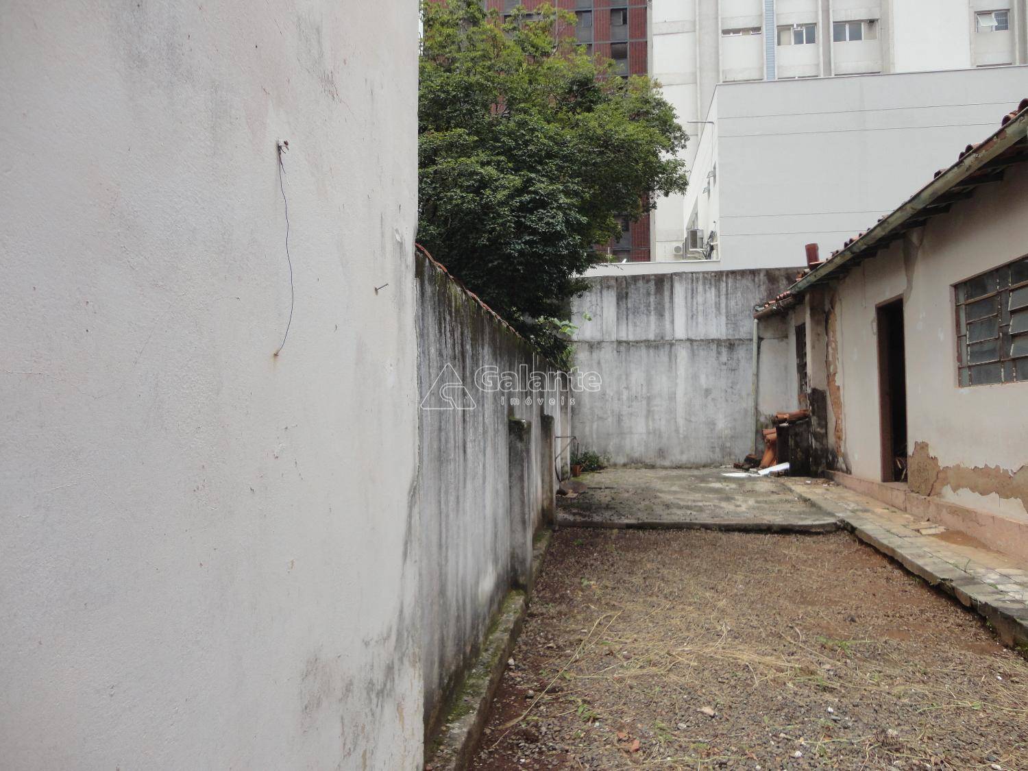 Comercial/Industrial em Cambuí, Campinas - Comercial/Industrial - Cambuí - Foto 5