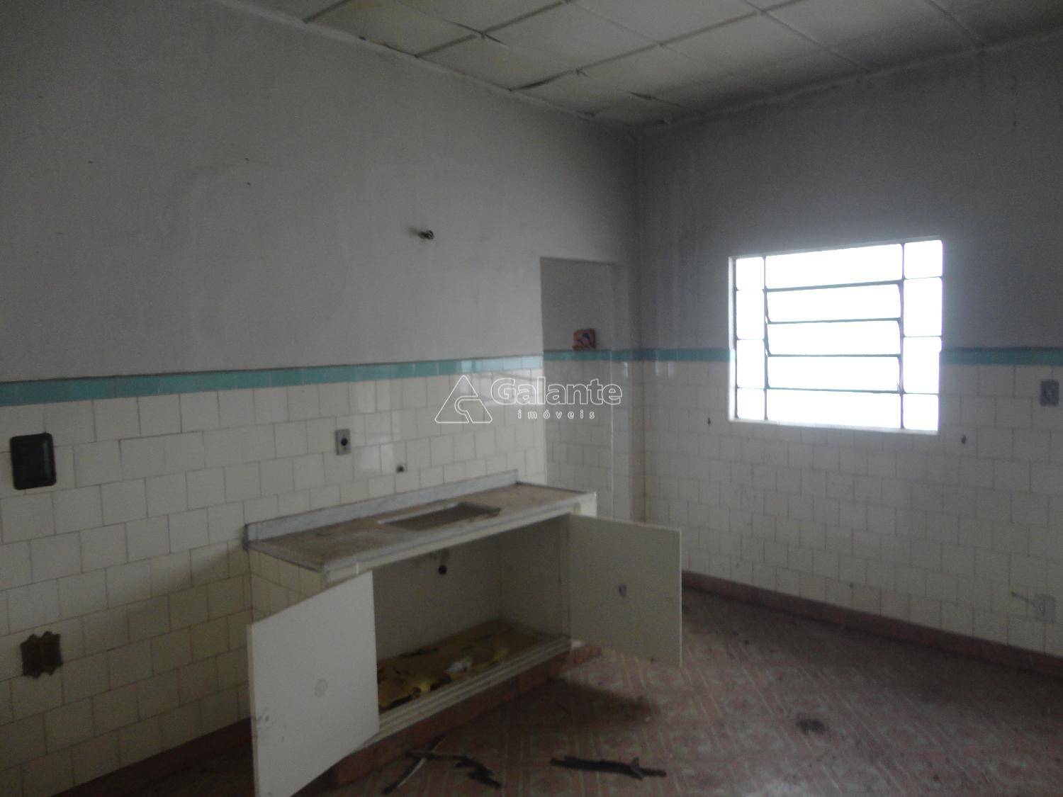 Comercial/Industrial em Cambuí, Campinas - Comercial/Industrial - Cambuí - Foto 9