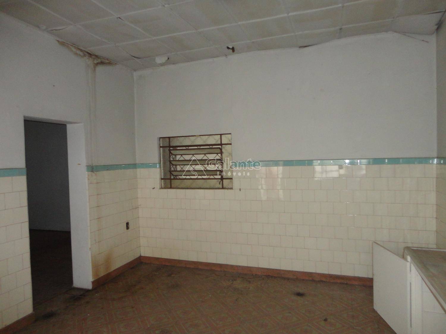 Comercial/Industrial em Cambuí, Campinas - Comercial/Industrial - Cambuí - Foto 11