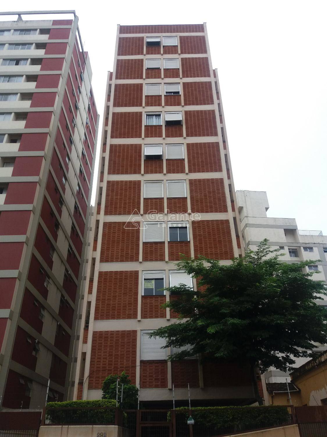 Apartamento em Centro, Campinas - Apartamento - Centro - Foto 5