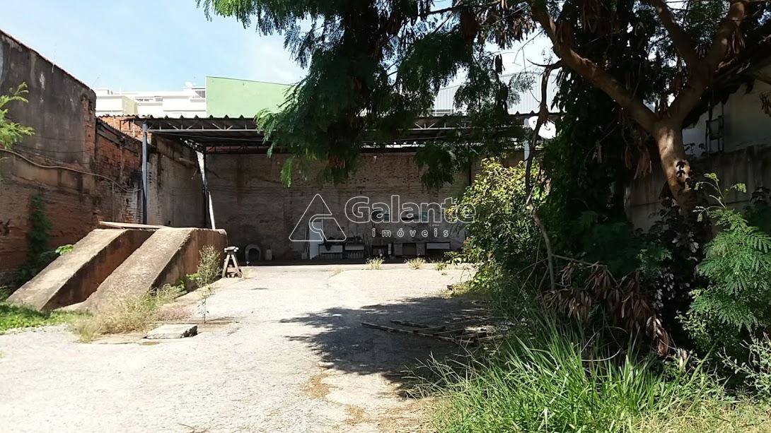 Comercial/Industrial em Vila João Jorge, Campinas - Comercial/Industrial - Vila João Jorge - Foto 4