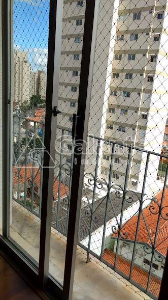 Apartamento em Jardim Proença, Campinas - Foto 18