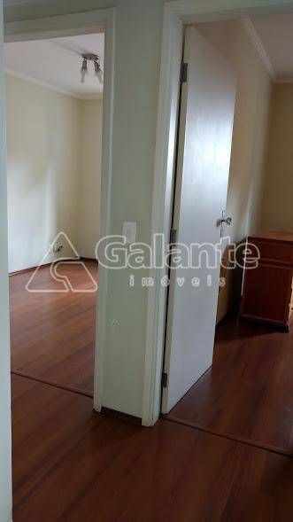 Apartamento em Jardim Proença, Campinas - Apartamento - Jardim Proença - Foto 3