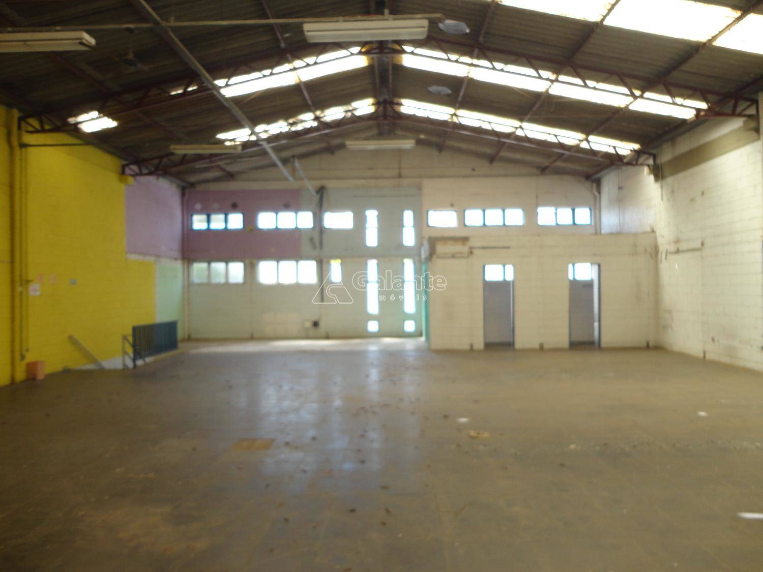 Comercial/Industrial em Cambuí, Campinas - Comercial/Industrial - Cambuí - Foto 14