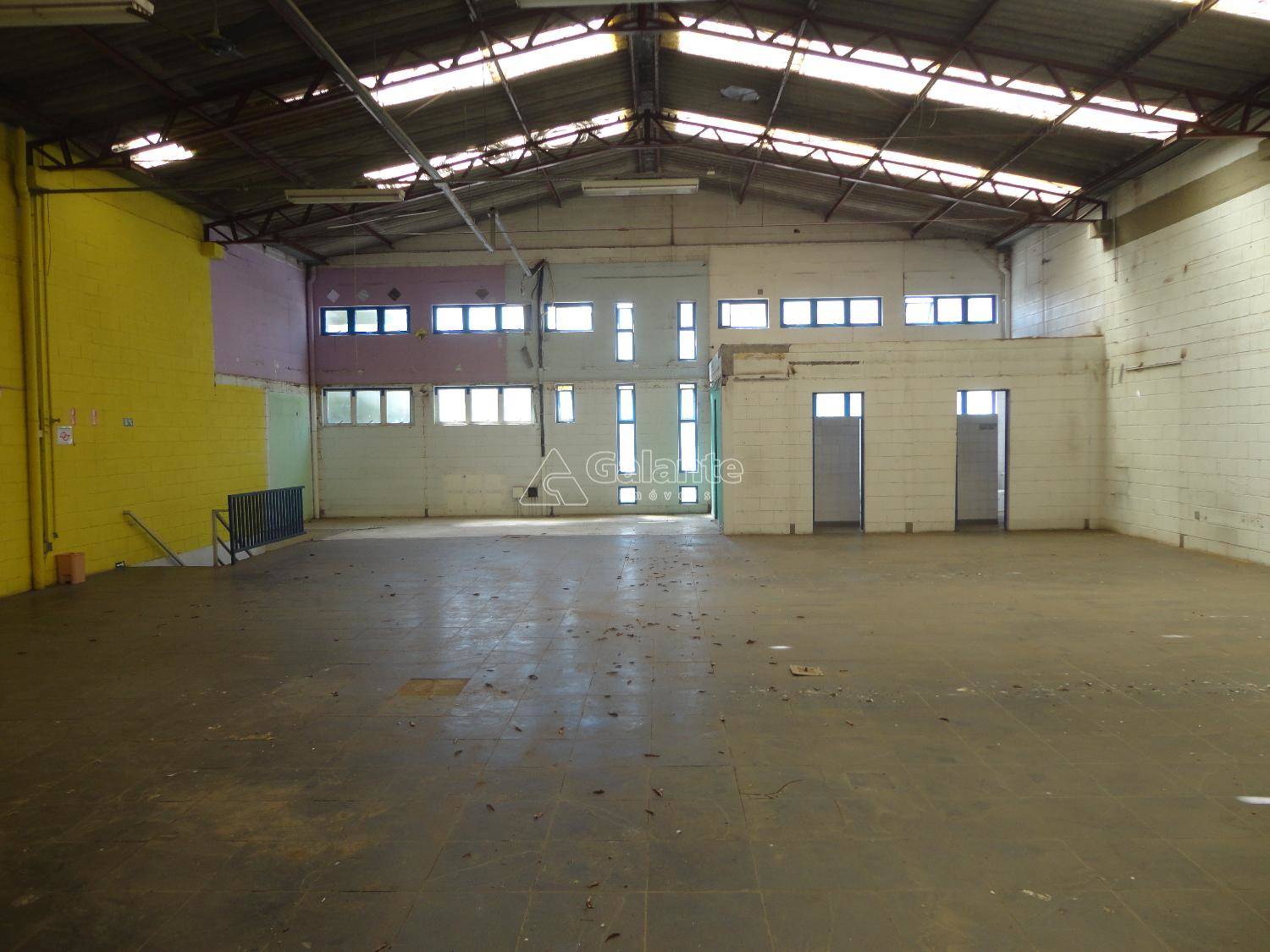 Comercial/Industrial em Cambuí, Campinas - Comercial/Industrial - Cambuí - Foto 8