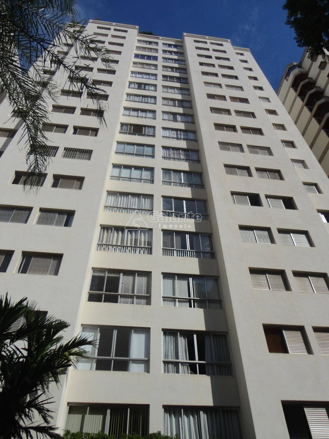 Apartamento em Cambuí, Campinas - Apartamento - Cambuí - Foto 1