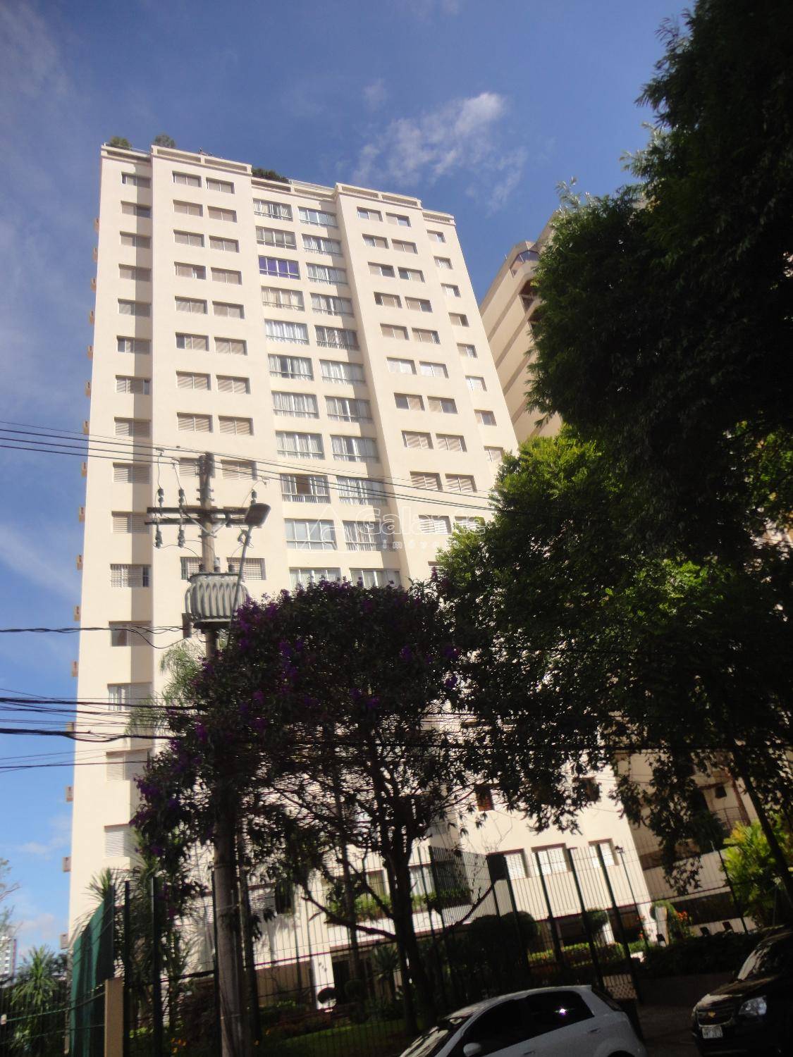 Apartamento em Cambuí, Campinas - Foto 7